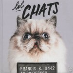 Calendrier #11  Lol Chats