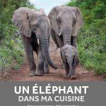 Un éléphant dans ma cuisine de Françoise Malby-Anthony et Katja Willemsen