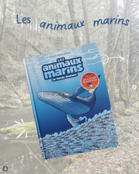 BD les animaux marins 8
